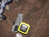Day 2 - Ape Cave - cave mouse on gloves Day 2 - Ape Cave - cave mouse on gloves